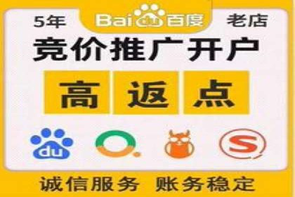 专业竞价SEM托管成功案例解析
